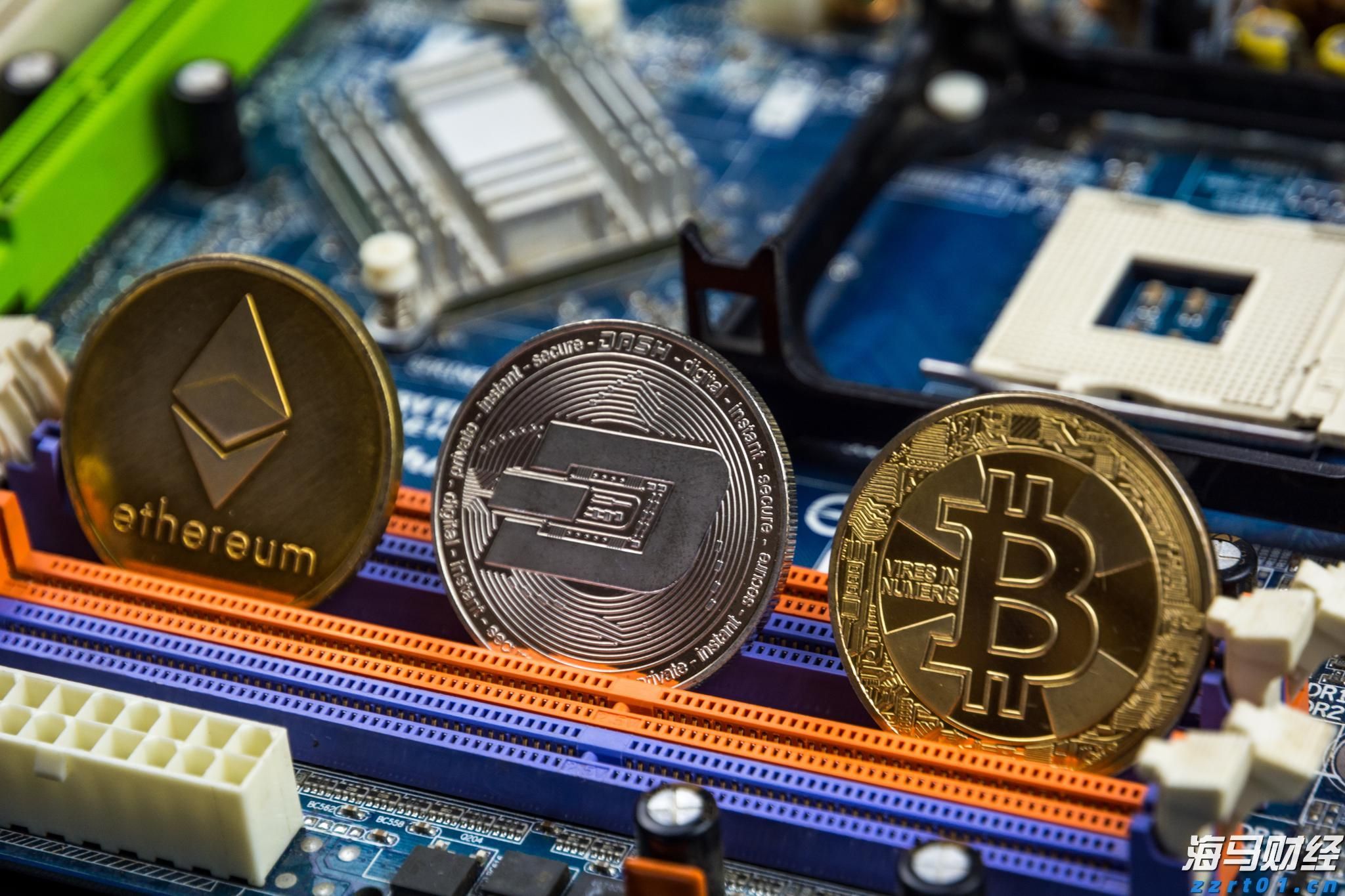 我市举办2025年“春风行动”专场招聘会